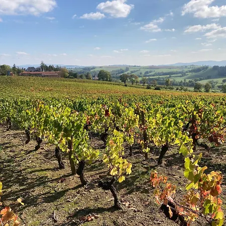 Appartamento Petite Maison Dans Le Beaujolais Vindry-sur-Turdine